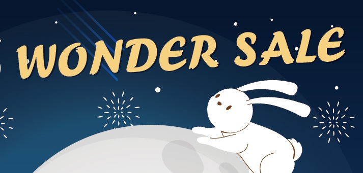 Wonder Sale banner.jpg | 57kb | 713x341